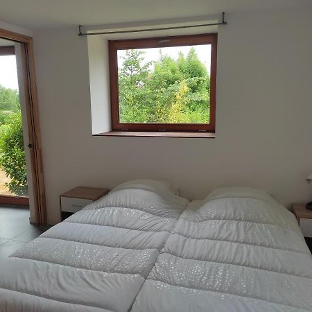 Conviviale - Longere Lumineuse - Charme & Nature Bains-sur-Oust Exterior foto